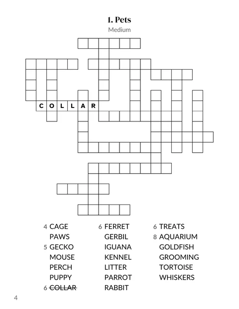 A fill in puzzle page from the sample book